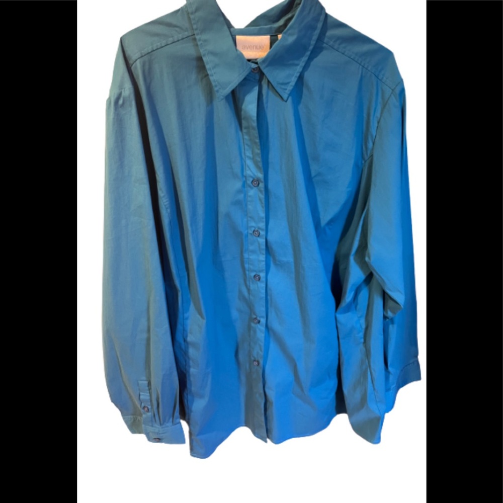Avenue Button Down Shirt Top Blouse Blue Size 30 32 NWT